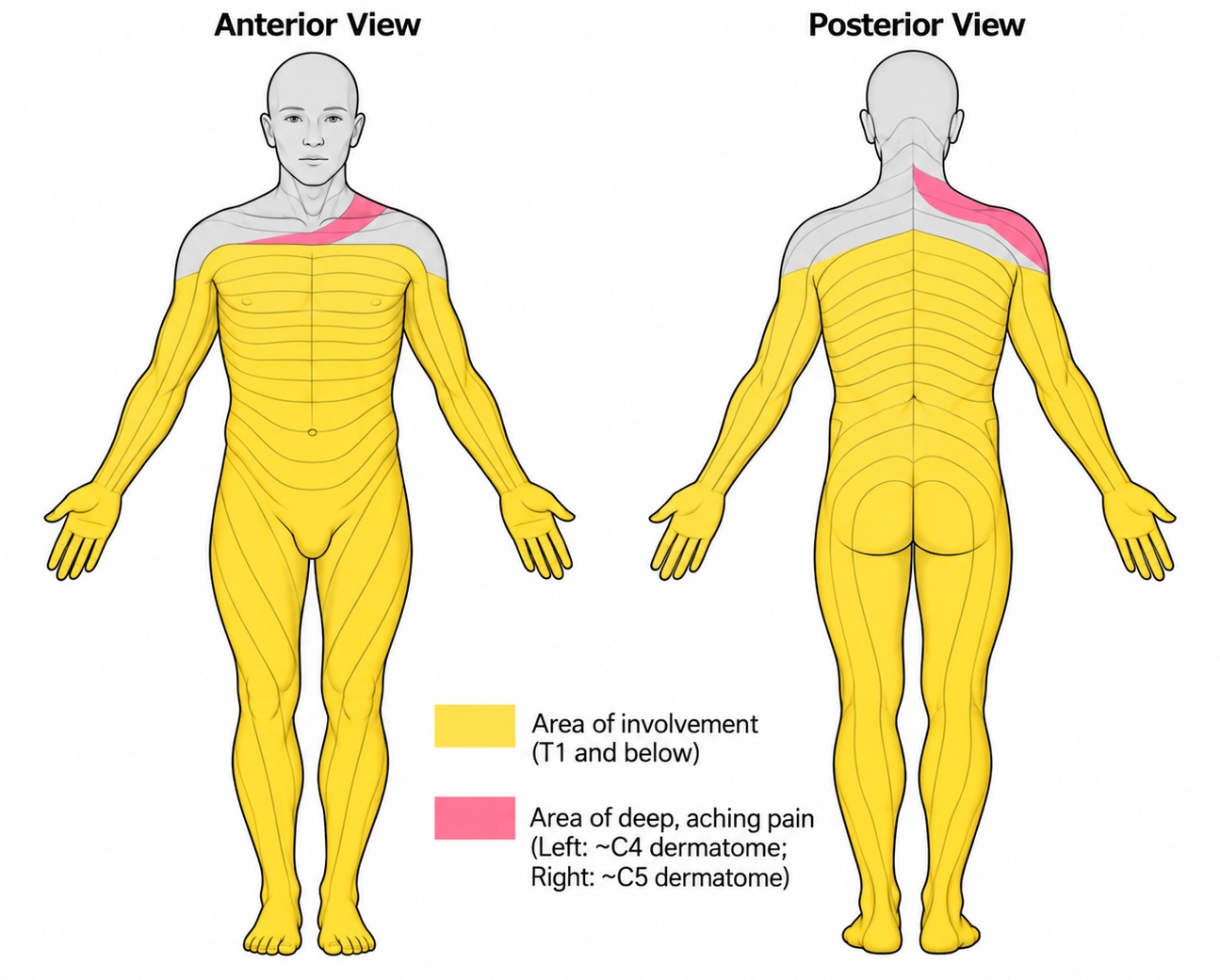 Figure 6.jpg